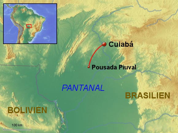 pantanal