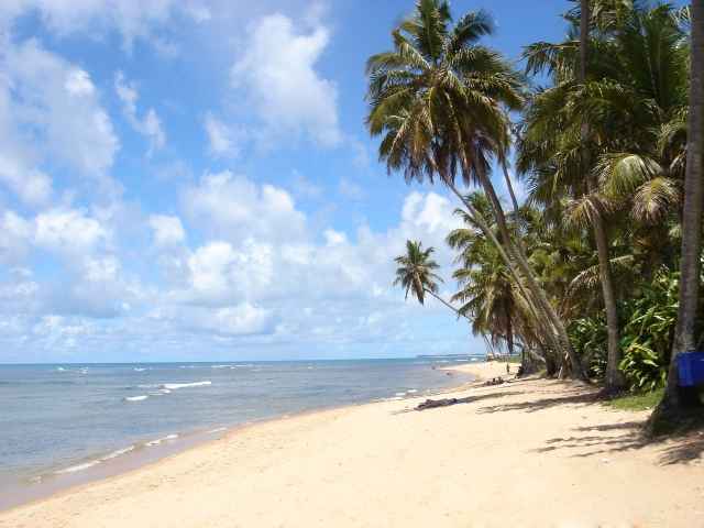 Praia do Forte 2